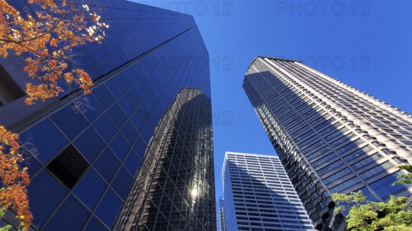 USA, Seattle financial and business district skyline in city downtown, North America