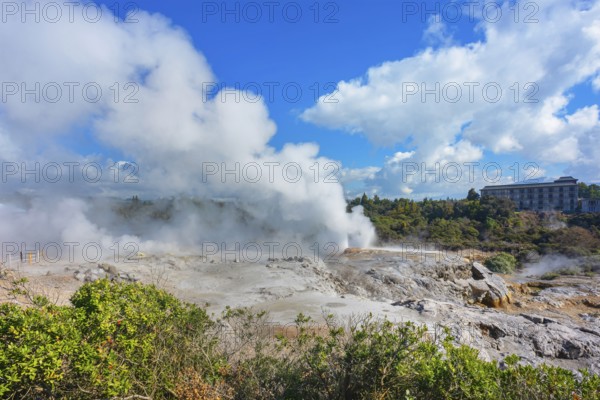 Prince of Wales and Pohutu geysers erupting, Te Puia Thermal Valley, Rotorua, Bay of Plenty, North