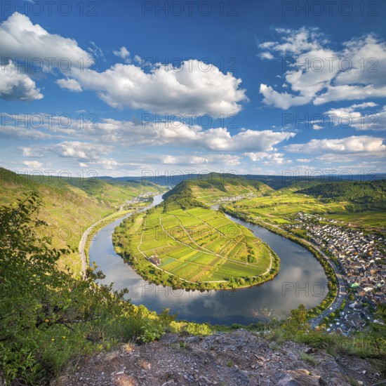 View of the Moselle bend at Bremmer Calmont, Bremm, Moselle valley, Rhineland-Palatinate, Germany,