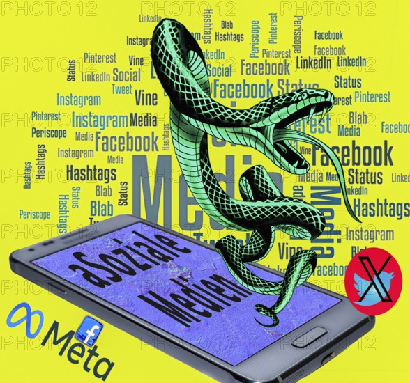 Symbolic image, poisonous snake as (a) Social media, mobile phone, smartphone, socialmedia, Elon