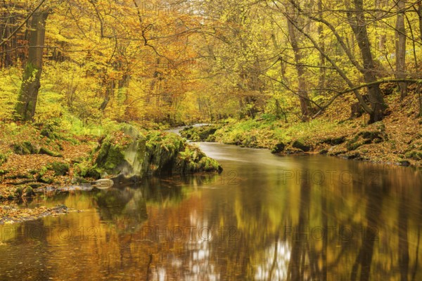 Autumn by the Schwarza river in the Schwarzatal nature reserve between Bad Blankenburg and