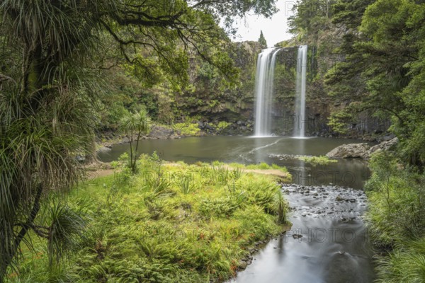 Waterfall of Whangarei Falls flowing into a tranquil river, surrounded by lush greenery and rocks,