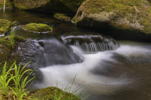 Kleine Ohe creek below Waldhaeuser village in the Bavarian Forest Nationalpark. Flowing water,