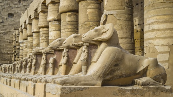 Karnak Temple Complex, Luxor, Egypt, Africa