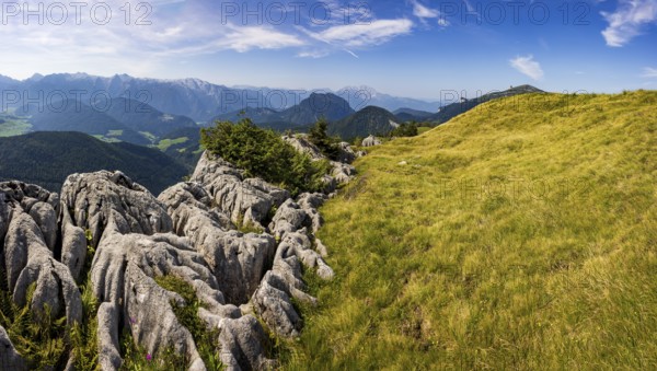 At the summit of Alpbichl with a view of the Lammertal and Tennengebirge mountains, Osterhorn