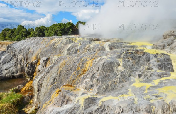 Geysers erupting, Te Puia Thermal Valley, Rotorua, Bay of Plenty, North Island, New Zealand,
