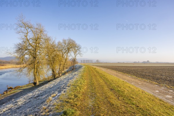 Early Morning ladscape with frost of the Danube river shore, Wörth an der Donau, Regensburg, Upper