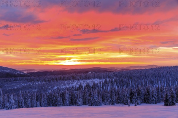 Sunset on a winter evening at the Wossecker Baude above Harrachsdorf in the Giant Mountains, in the