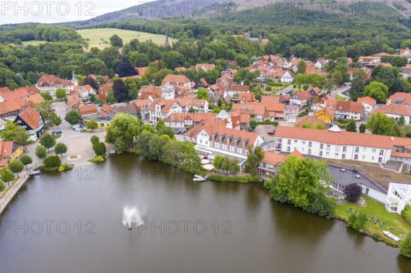 Aerial view of the old town with trout pond and monastery, Ilsenburg, Harz, Saxony-Anhalt, Germany,