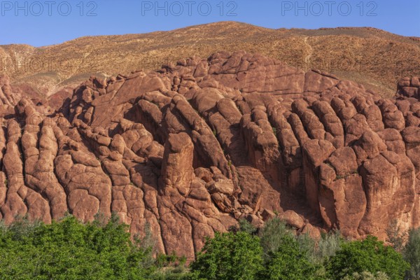 The impressive cliffs in the Dades Gorge. A tree stands in the centre of a field with a rocky hill