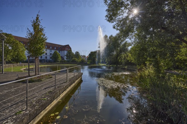 Park, pond, fountain, trees, general architecture, backlight of the sun, light-flooded foliage,