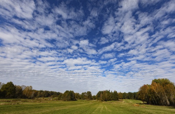 Lean meadow, Altocumulus, cloudy sky with fleecy clouds in the Blockheide nature park Park near