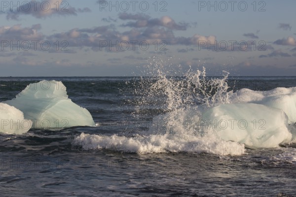 Little icebergs and crushed ice on the black beach at Joekulsarlon glacial lake