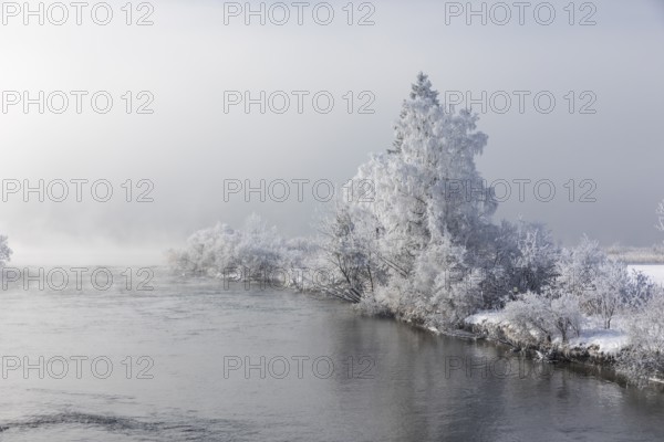 Lake Kochelsee in Bavaria, Germany. River Loisach leaving the lake. Winter, hoar frosted trees