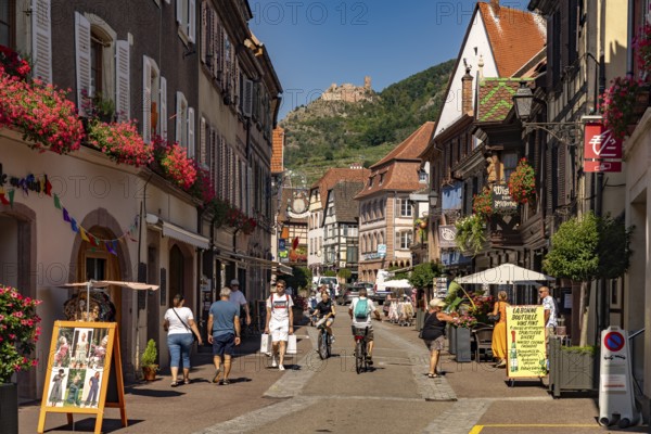 Old town and castle ruins in Ribeauville, Alsace, France, Europe