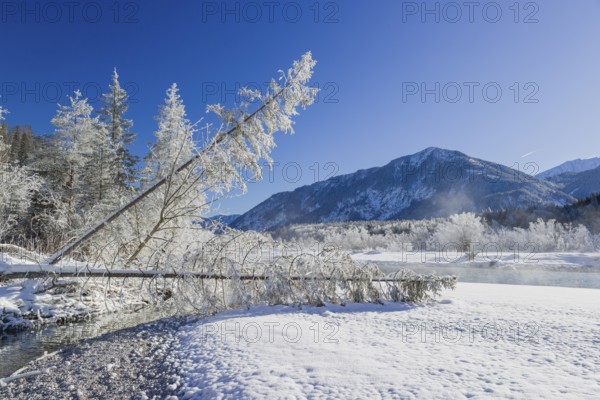 Isar valley in winter at temperatures of minus 18 degrees Celsius. Snow covered landscape with the