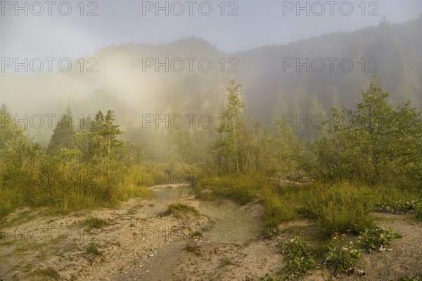 Isar valley nature conservancy area. The wild Isar river flows through its gravel bed past