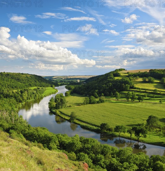 View of the river Saale in the Lower Saale Valley nature park Park, Rothenburg, Saxony-Anhalt,