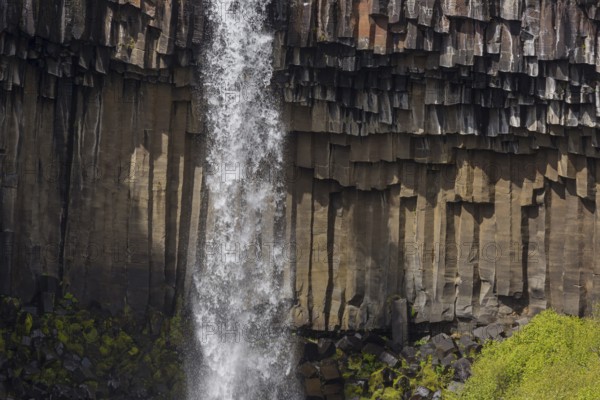 Svartifoss waterfall, Vatnajökull National Park, SE Iceland