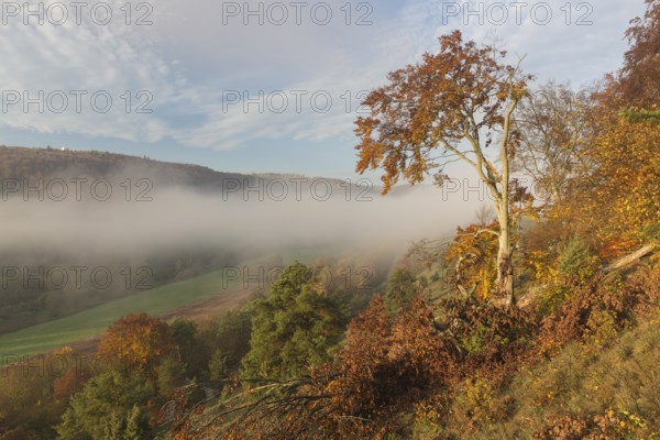 Sunrise close to the 12 Apostels rock formation in the Altmühl valley nature park close to