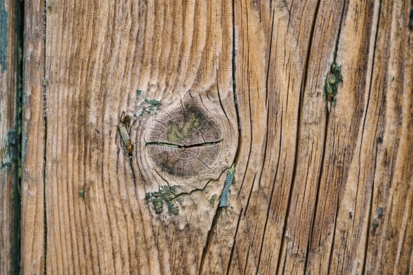 Detail of weathered wood from an old window shutter, Burano, Venice Italy