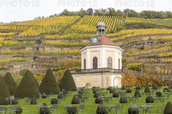 Belvedere of Wackerbarth Castle with Jacobstein and autumn-coloured vineyards, Radebeul, Saxony,
