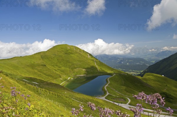 Artificial lake, snow pond, feeds the snow cannons that completely cover the slopes of the Fellhorn