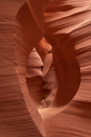 Fascinating sandstone formations in Antelpoe Canyon, showing soft, wave-like structures, Antelope