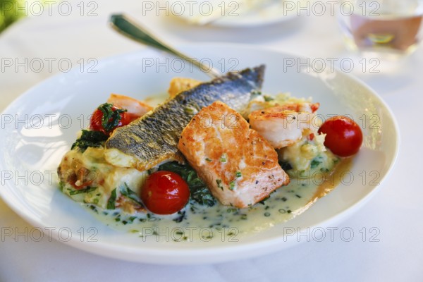 Restaurant Schloss Haigerloch, fine fish, salmon, scallops, char, spinach, cocktail tomatoes, fine