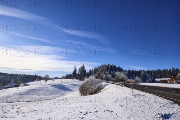 Winter landscape, forest, snow, country road, deep blue sky with veil clouds, Titisee-Neustadt,