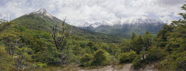 Cerro Guanaco und mountain Hyades, Pampa Alta hiking trail, Tierra del Fuego National Park,