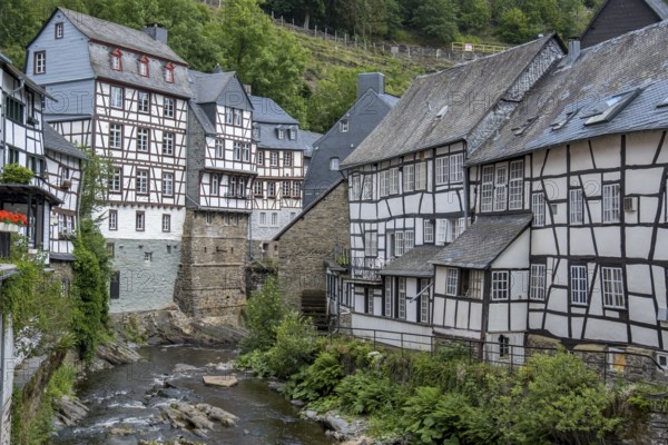 Historic half-timbered houses along the Rur in Monschau, Eifel, North Rhine-Westphalia, Germany,