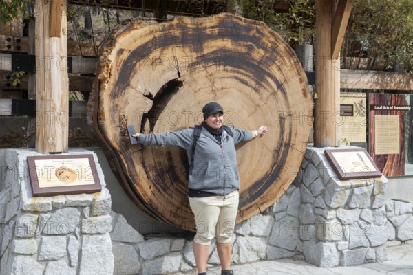 Yosemite National Park, California - The Mariposa Grove of Giant Sequoias (Sequoiadendron