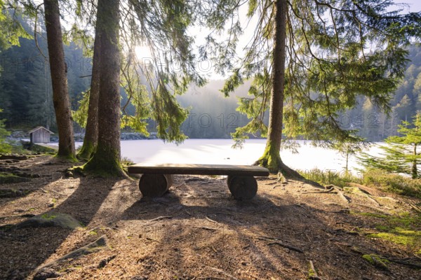 A shady seat in the forest with a view of a lake, soft sunlight filters through the trees,