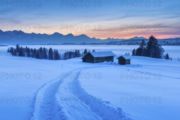 Sunset in the Allgäu in winter, view at sunset over the Forggensee with fog, tractor track in deep