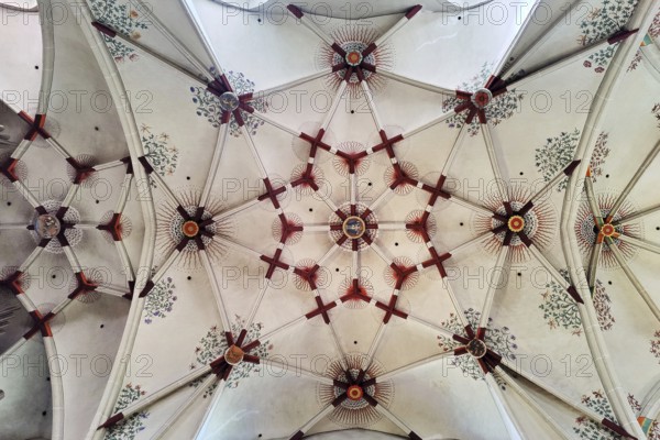 Interior photo with view upwards to the star vault in the nave, St Castor's Basilica, Old Town,