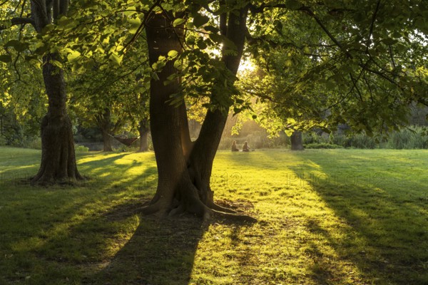 Clara Zetkin Park in Leipzig, Saxony, Germany, Europe