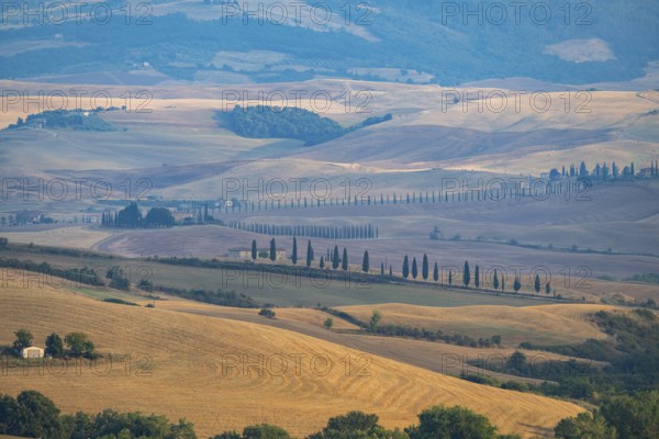 Typical Tuscan landscape in Val d'Orcia with hills, trees, fields, farmhouses and cypresses in