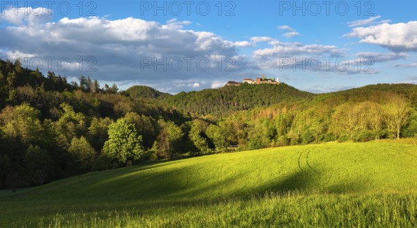 View of Wartburg Castle, evening light, Eisenach, Thuringia, Germany, Europe