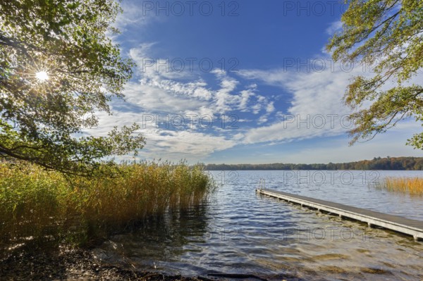 Wooden jetty at lake Schaalsee in autumn, fall, Biosphärenreservat Schaalsee, Schleswig-Holstein,