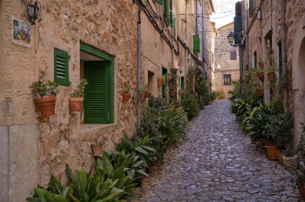 Street of Plants, alley, Valldemossa, Tramuntana Mountains, Serra de Tramuntana, Majorca, Balearic
