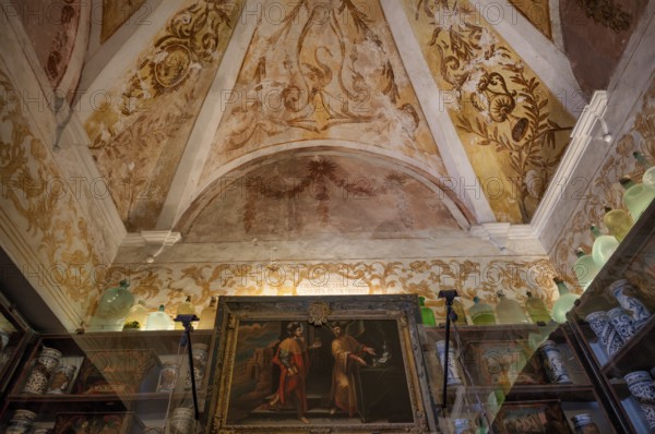 Interior view, ceiling of the monastery pharmacy of the Charterhouse, Iglesia de la Cartuja, Real