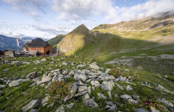Mountain hut Lasörlinghütte in the evening light, mountain landscape with alpine roses,
