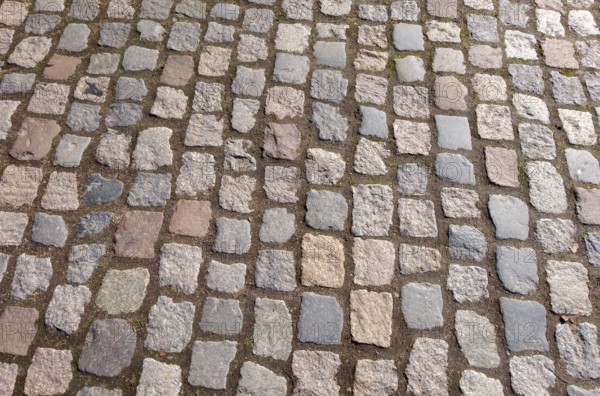 Close-up of a cobblestone pavement showing a rustic and traditional street design, Germany, Europe