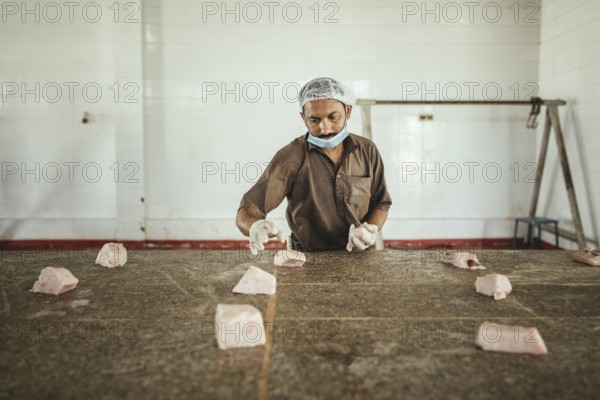 Cutting up a slaughtered dromedary (camelus dromedarius), camel slaughter, Salalah slaughterhouse,