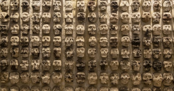 Wall of stone human skulls, archaeological site and museum of Templo Mayor, Mexico City, Mexico,