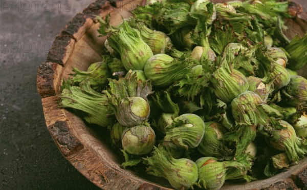 Fresh, green hazelnuts, close-up, in a wooden bowl, unpeeled, top view, no people