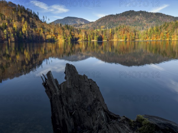 Autumn atmosphere at Hechtsee lake near Kufstein, Tyrol, Austria, Europe