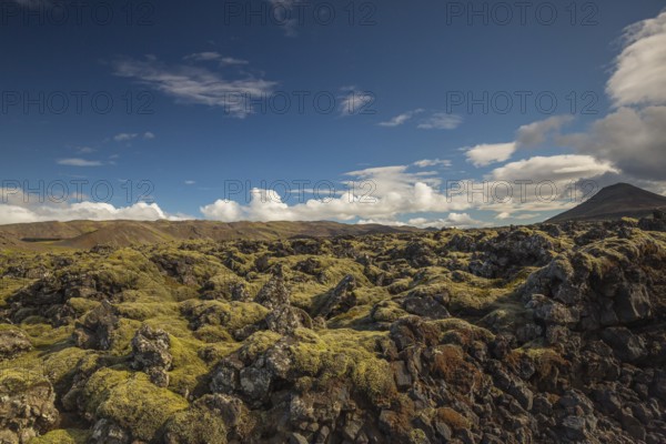 Lavafield Ögmundarhraun near Grindavik, located on Reykjanes headland on the southwestern tip of