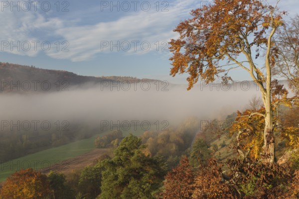 Sunrise close to the 12 Apostels rock formation in the Altmühl valley nature park close to